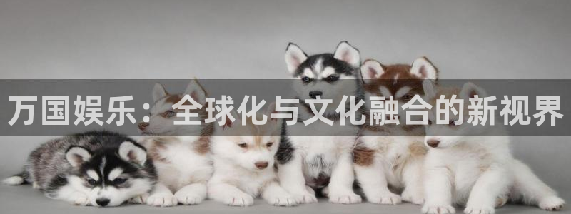 领航国际官网登录入口怎么进